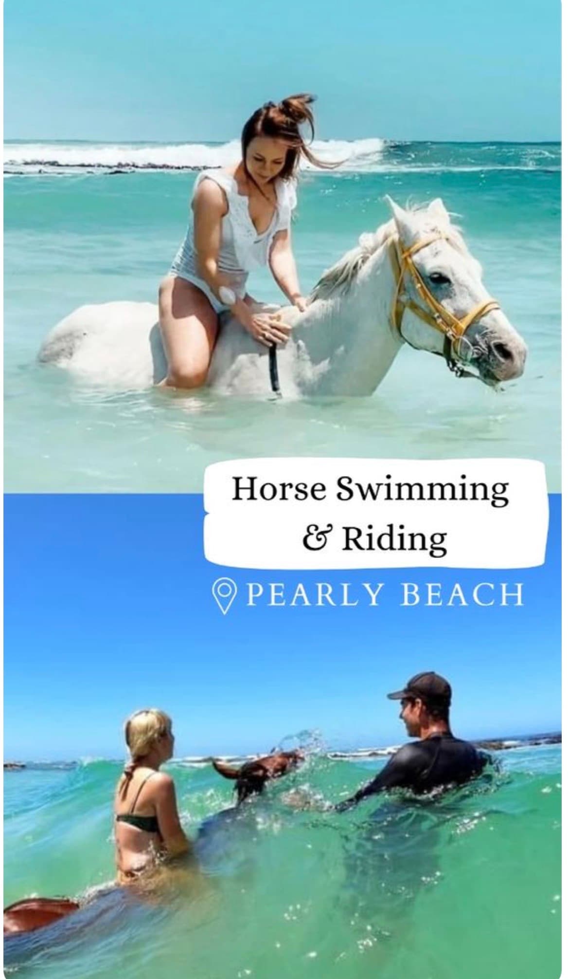 A woman riding a white horse and others swimming with horses at Pearly Beach.