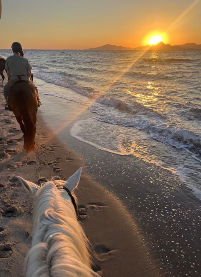Riders on horseback along a sandy beach at sunset, viewed from behind a white horse.